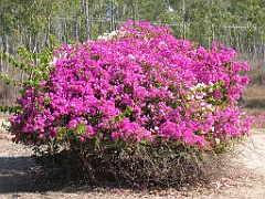 CairnsTC104 Granite Gorge